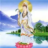 观音头像图片大全微信最好看的观音菩萨图片