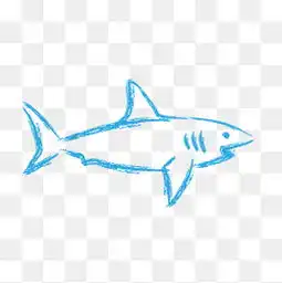 鲨鱼图片大全鲨鱼素材免费下载千库网png