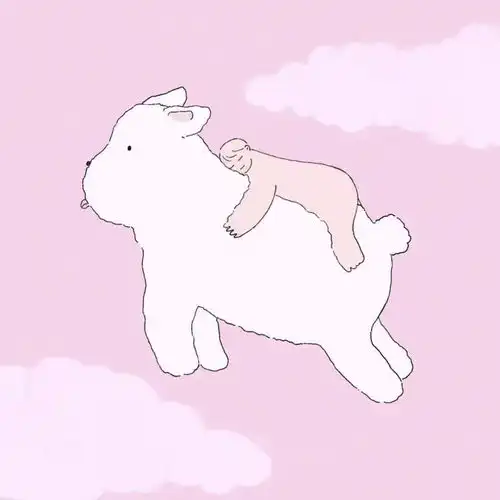 有哪些治愈系头像壁纸