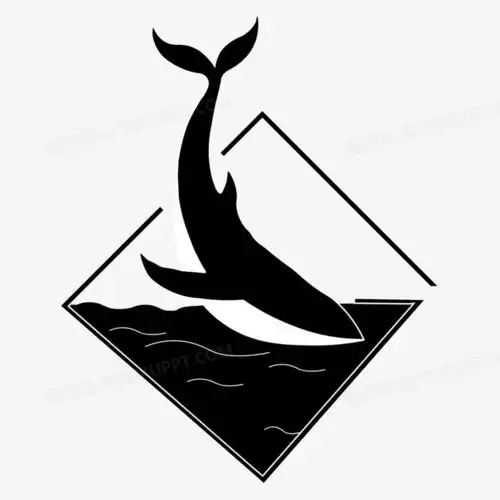 手绘黑白鲸落插画png图片素材免费下载手绘png35003496像素