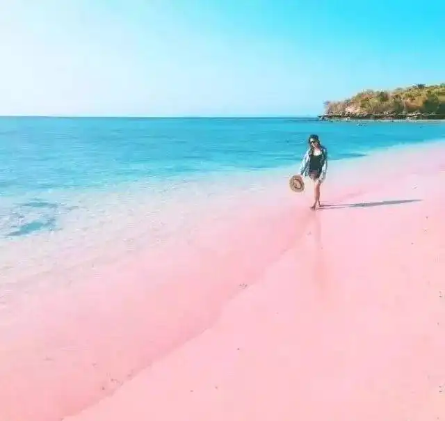 2019年最令人向往的7种旅行方式你最想做什么