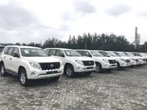 17款中东版丰田霸道2700标杆越野现车手续齐35万展现霸气风采