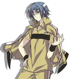 杂图动漫网球王子