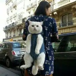 哪位道友有这个图片原图,谢谢了