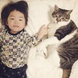 绝对治愈系照片孩子与猫咪的日常生活