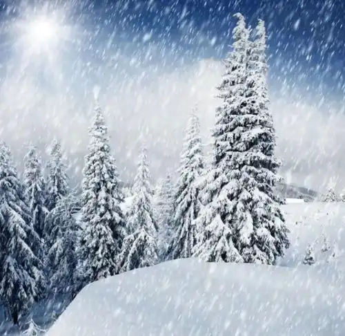 人这一生,千万不要透支真情