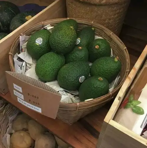 背景图世界太大只想和你天荒地老