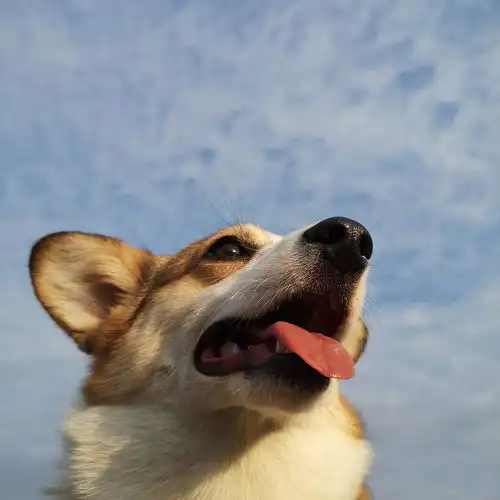 猫系女友真的绝了