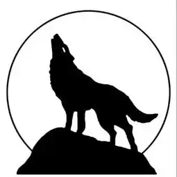 孤狼头像图片大全霸气