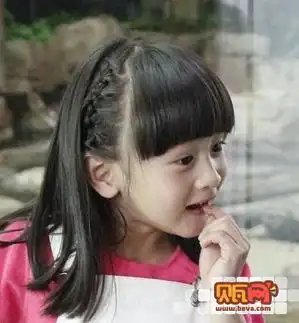 森碟认养考拉拍广告获赞第13页趣闻轶事亲子图库贝瓦网