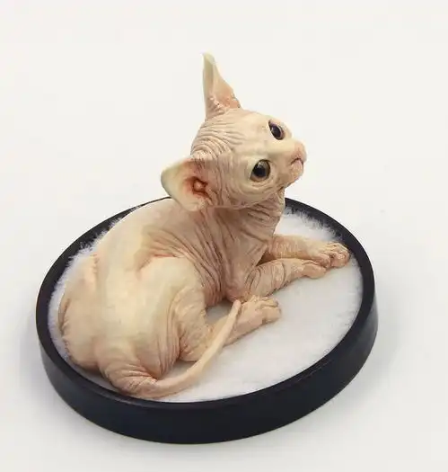 动物系列小猫家族