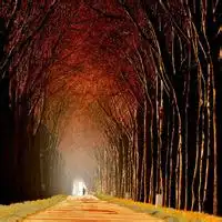 2023宁静安逸风景头像