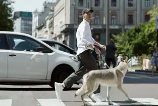 杨祐宁化身狼系少年徜徉米兰最新街拍曝光