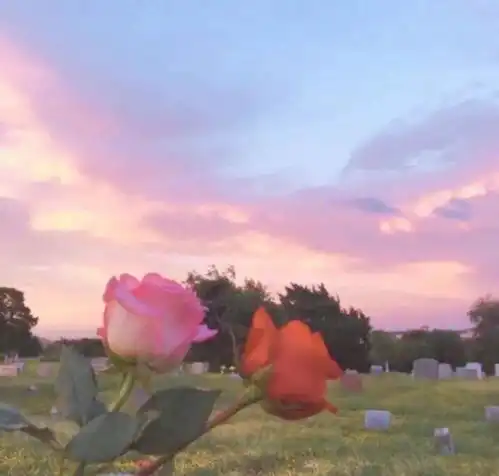 温馨提示您的十一小长假已到期调整