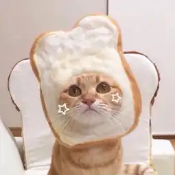 太爱您了怎么办的微博微博