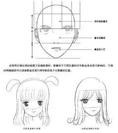 求动漫人物详细的三庭五眼分析图和动漫人物各个方向的头部骨架
