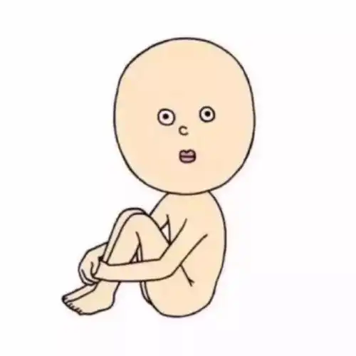 100张热门微信男女头像