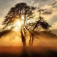 最招财和风水好的微信头像微信头像图片大全