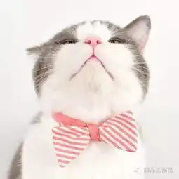 关于嗨品夺宝你不知道的三个秘密...