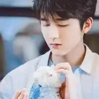 张新成头像帅气可爱的张新成头像