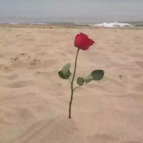 朋友圈封面素材