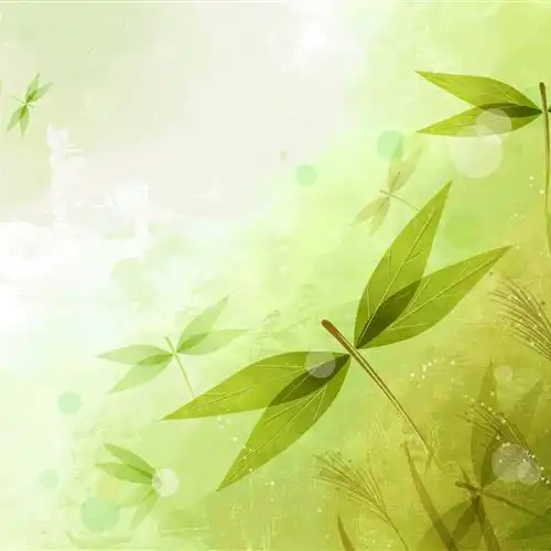 2024唯美浪漫的微信头像,微信唯美好看甜甜的头像图片