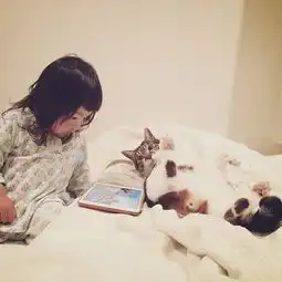 绝对治愈系照片孩子与猫咪的日常生活