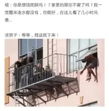 上班看猫片就能年薪百万我彻底酸了
