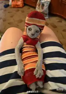 搞笑hao123上网导航