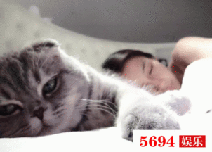 baby鹿晗爱猫,赵丽颖爱狗,明星爱萌宠或许是因为属性相近