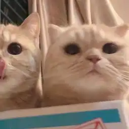 情侣头像你是我要独占的英雄