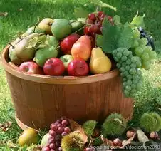 教你5招鉴别激素水果图片