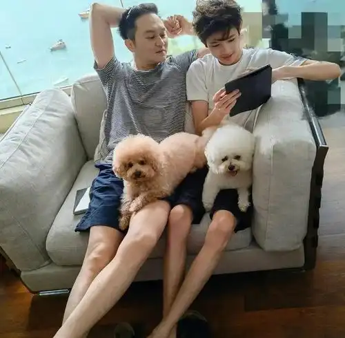 袁咏仪儿子魔童15岁庆生,网友这颜值,是生了一个李敏镐