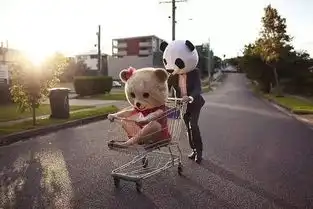 他的朋友圈里从来都没有你