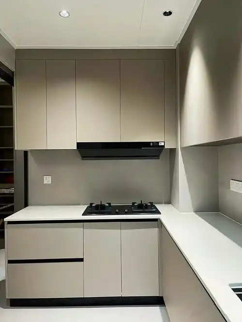 高颜值橱柜门板同色系搭配,好看的颜色都在这了,你喜欢哪种