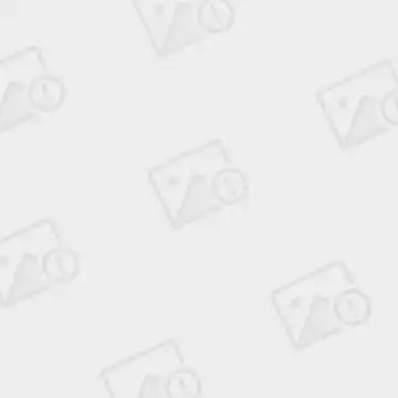 张柏芝纯白美图曝光举手投足知性温柔组图