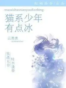 猫系男友有点冰