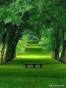 好朋友有你,真好