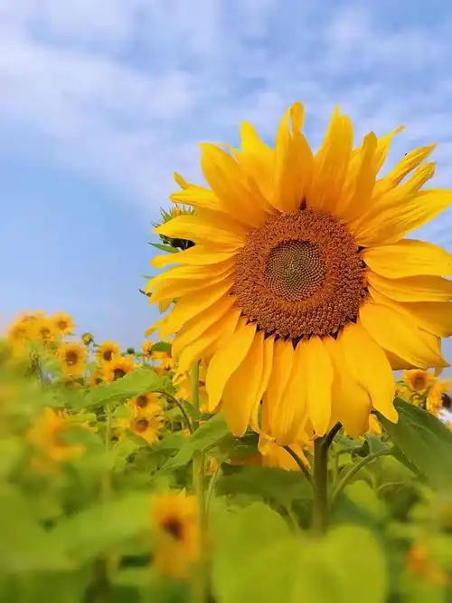 保持危机感,让人生更成功