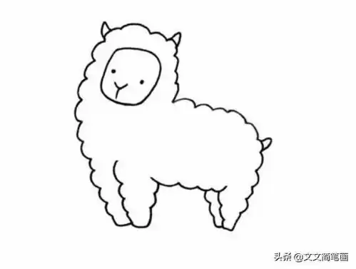 动物篇羊驼简笔画分解教程