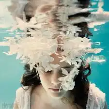 有哪些很棒的女摄影师她们的风格和技巧有哪些特点