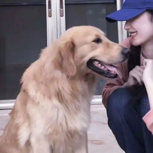 一遥真人情侣头像对象不是人系列持续更新