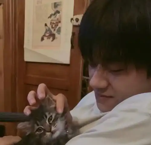 那些惊艳的明星照片