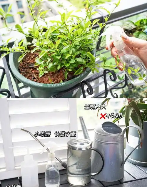 5㎡小阳台,diy改造治愈系休闲小花园,每天宅在家,不想出门了