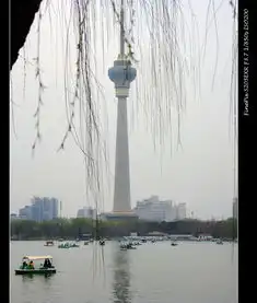 玉渊潭樱花节系列