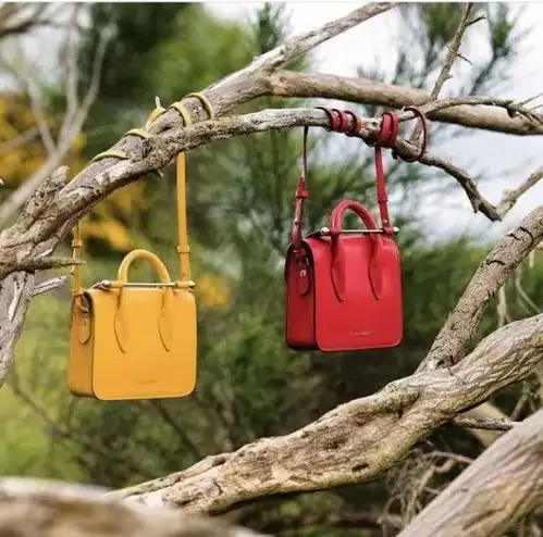 换季不撞包除了coach和mk,这几款轻奢小众包绝对逼格满满