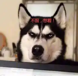 火遍朋友圈的单身狗结婚了连狗都结婚生崽,而你