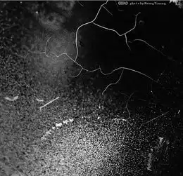 混沌黑白画册中部分作品