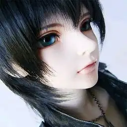 求这个bjd娃娃的更多图片和资料