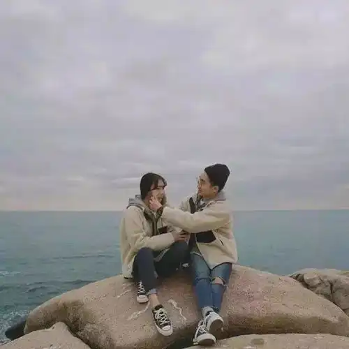 头像可偏偏这世界上唯有感情努力不来